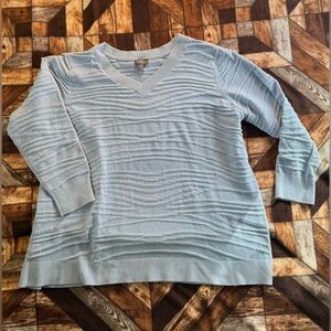 AnyBody Light Blue Women's Sweater